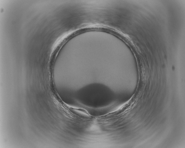 X0000070401319200607072234