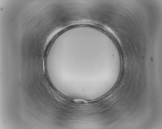 X0000070401320200607072234