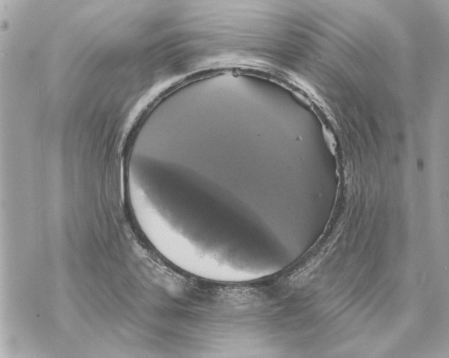 X0000070401323200607072234