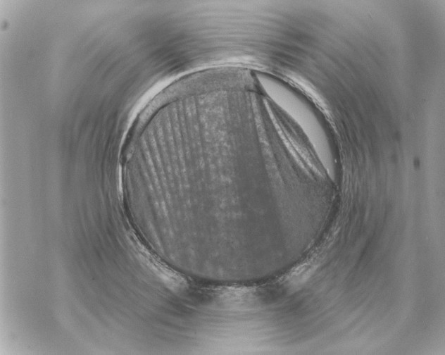 X0000070401324200607072234