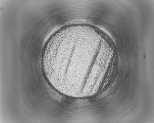 X0000070401325200607072234