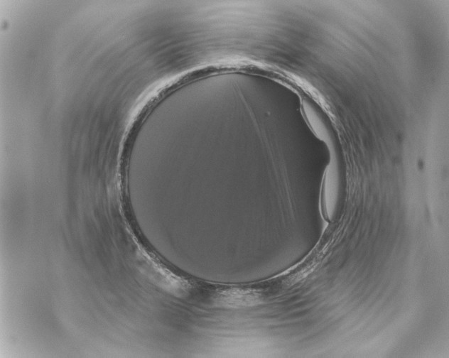 X0000070401327200607072234