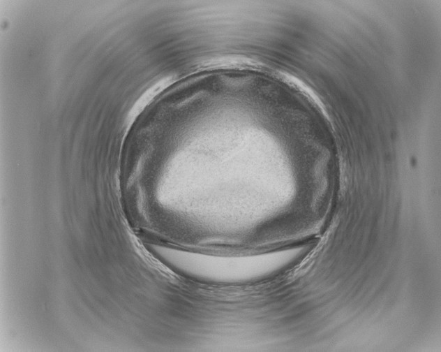 X0000070401330200607072234