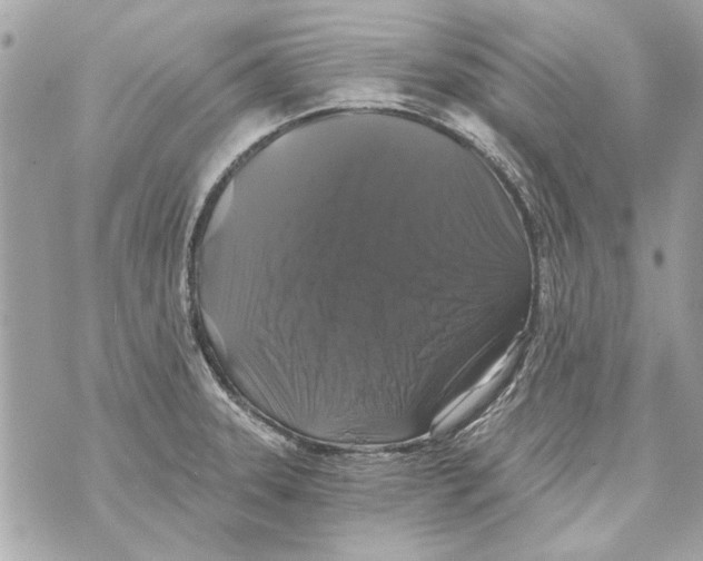 X0000070401331200607072234