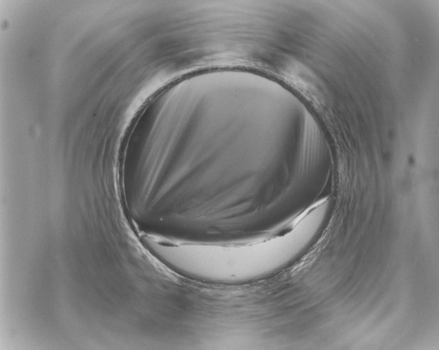 X0000070401334200607072234