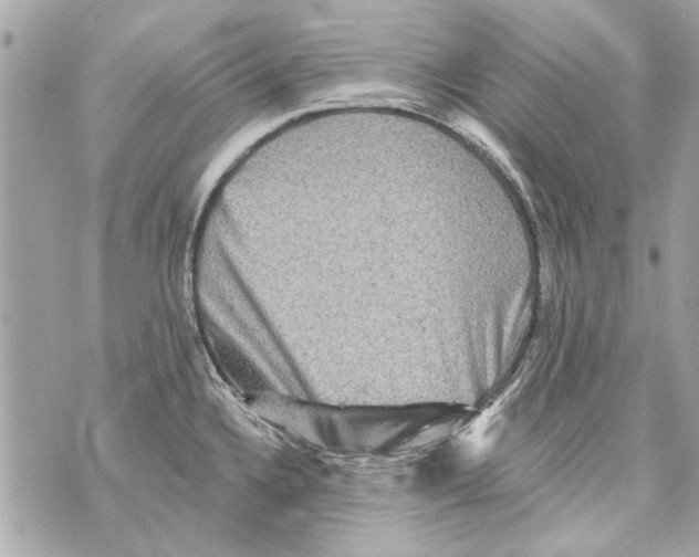 X0000070401336200607072234