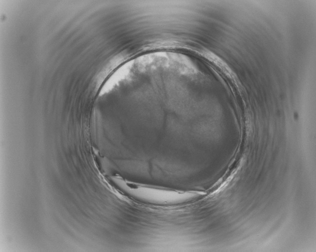 X0000070401337200607072234