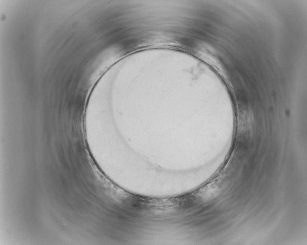 X0000070401338200607072234