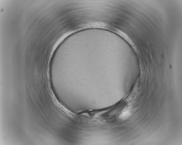 X0000070401339200607072235