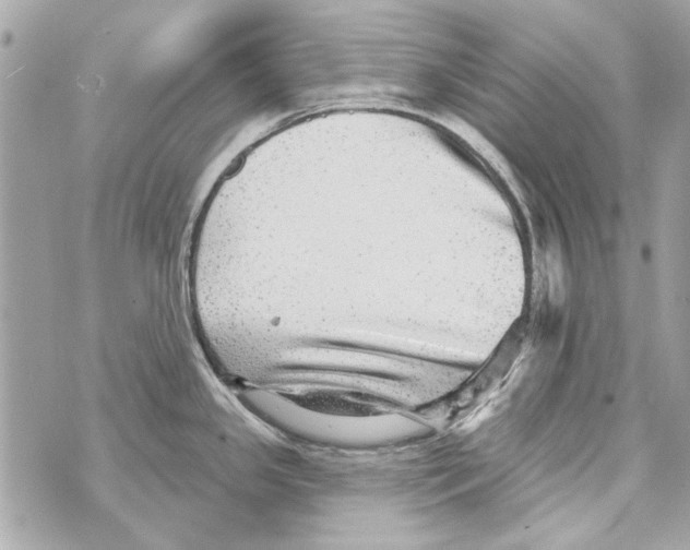 X0000070401341200607072235