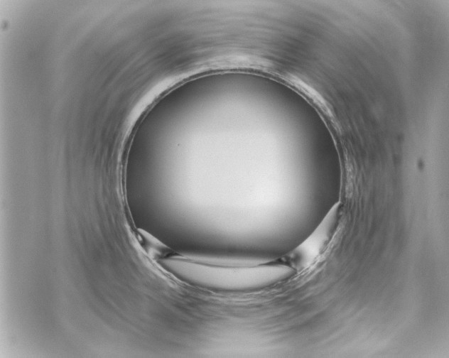 X0000070401342200607072235