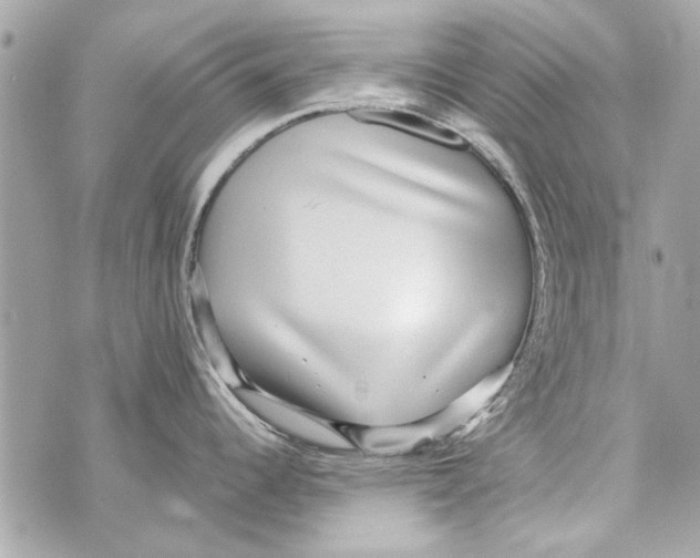 X0000070401344200607072235