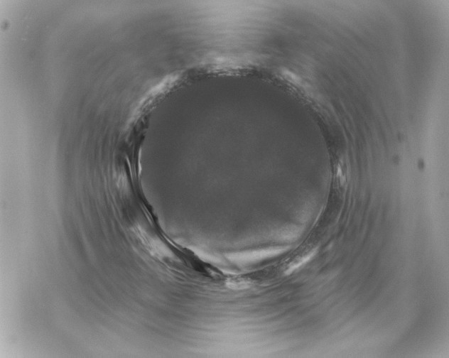 X0000070401348200607072234