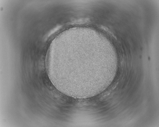 X0000070401350200607072234