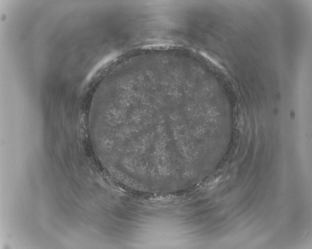 X0000070401351200607072234