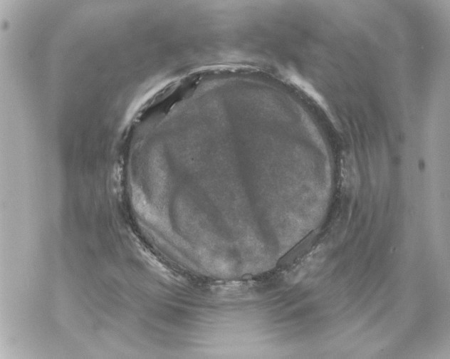 X0000070401352200607072234