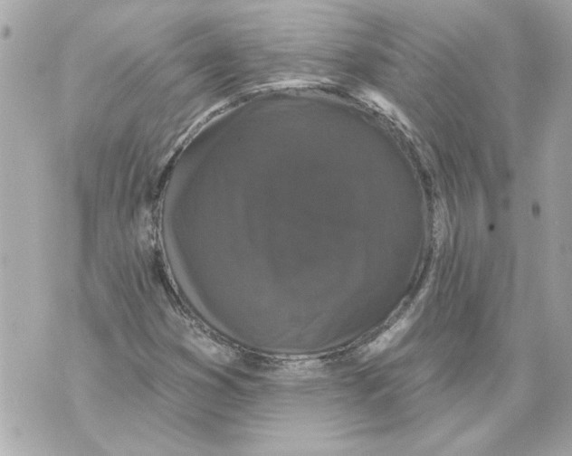 X0000070401353200607072234