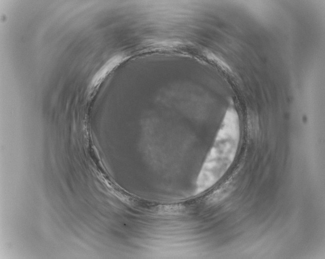 X0000070401354200607072234