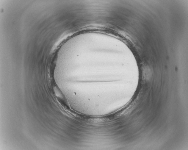 X0000070401355200607072234