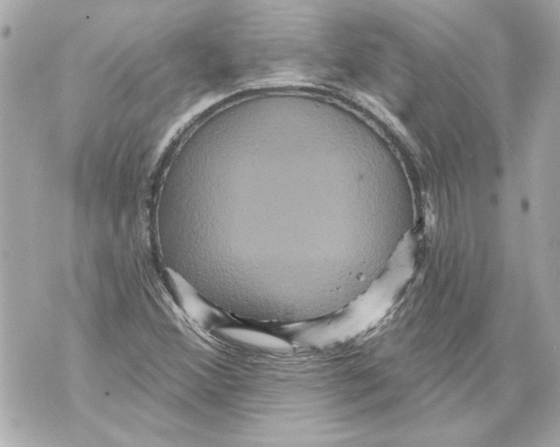 X0000070401356200607072234