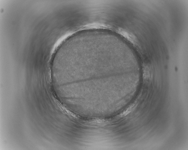 X0000070401358200607072234