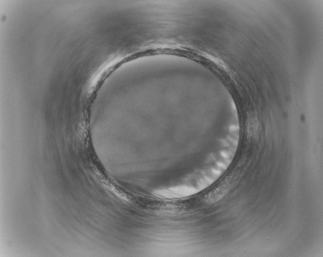 X0000070401359200607072234