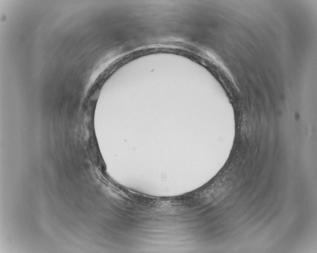 X0000070401360200607072234