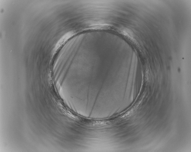 X0000070401362200607072234