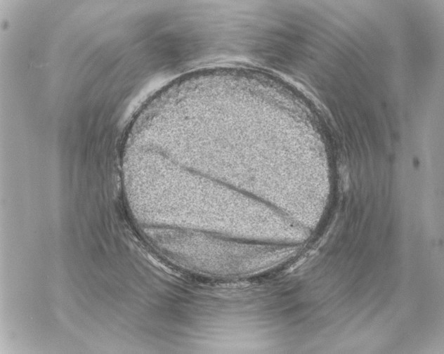 X0000070401363200607072234