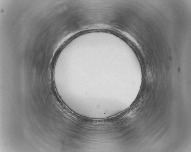 X0000070401364200607072234