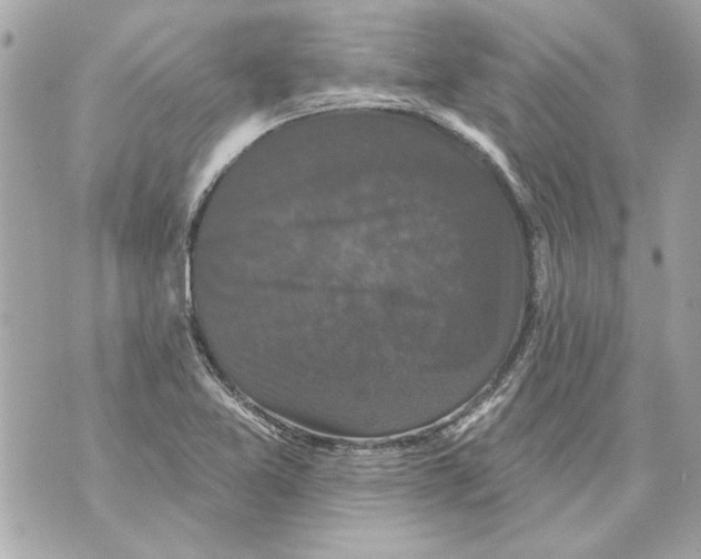 X0000070401365200607072233