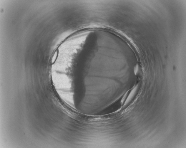 X0000070401367200607072233