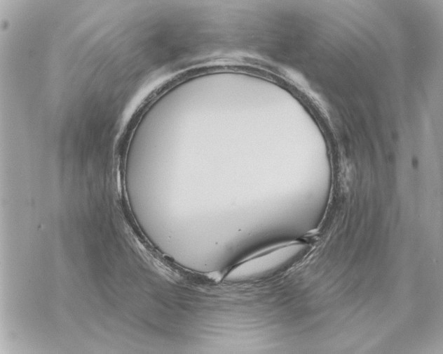 X0000070401368200607072233