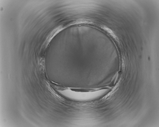 X0000070401369200607072233