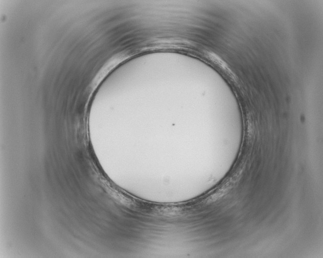 X0000070401370200607072233