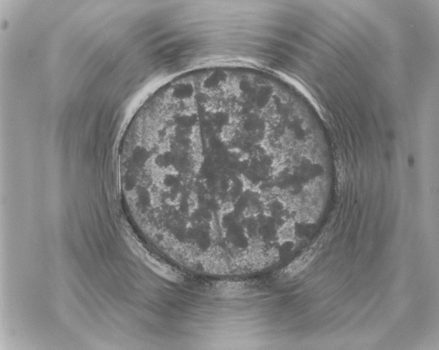 X0000070401371200607072233