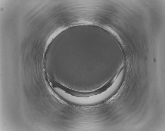 X0000070401373200607072233