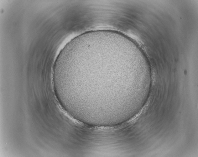 X0000070401374200607072233