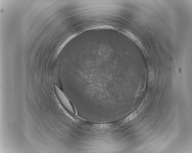 X0000070401377200607072233