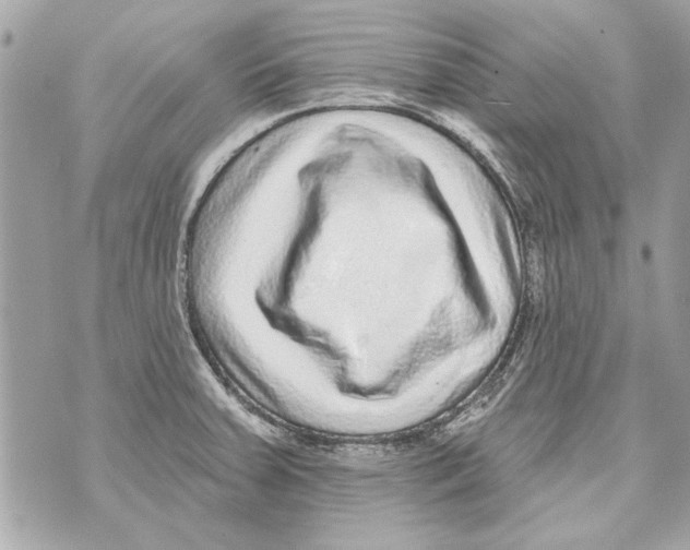 X0000070401379200607072233