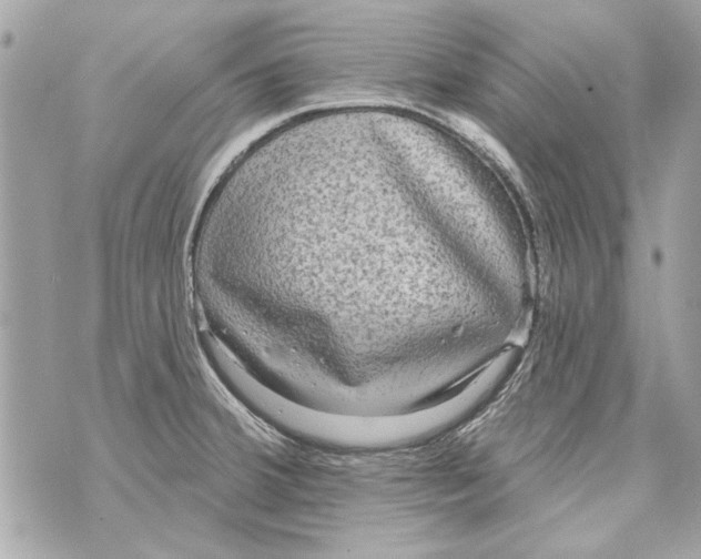 X0000070401380200607072233