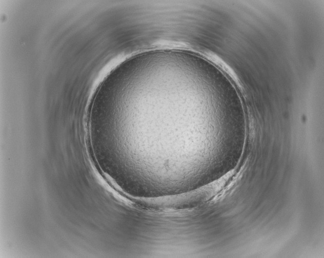 X0000070401381200607072233