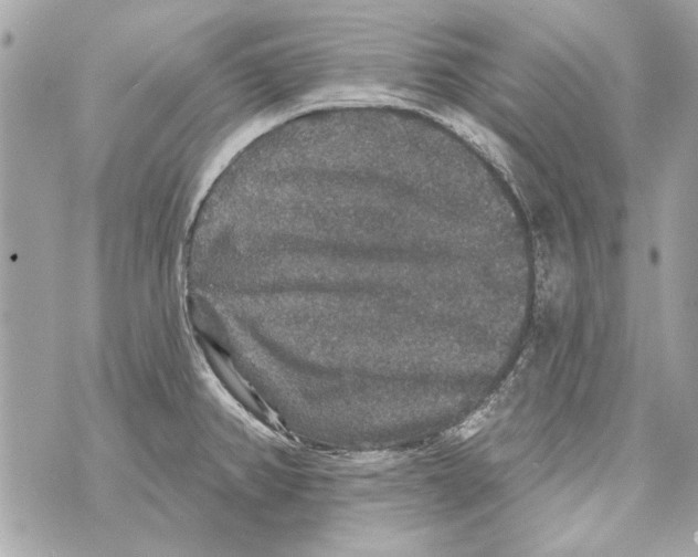 X0000070401382200607072233