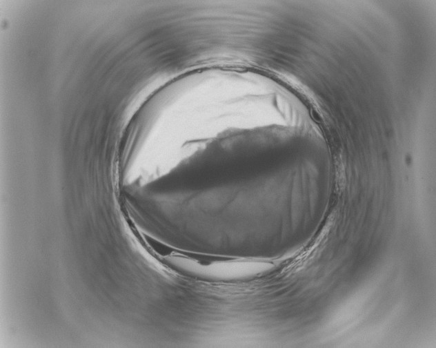 X0000070401383200607072233