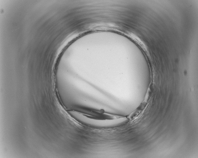 X0000070401384200607072233