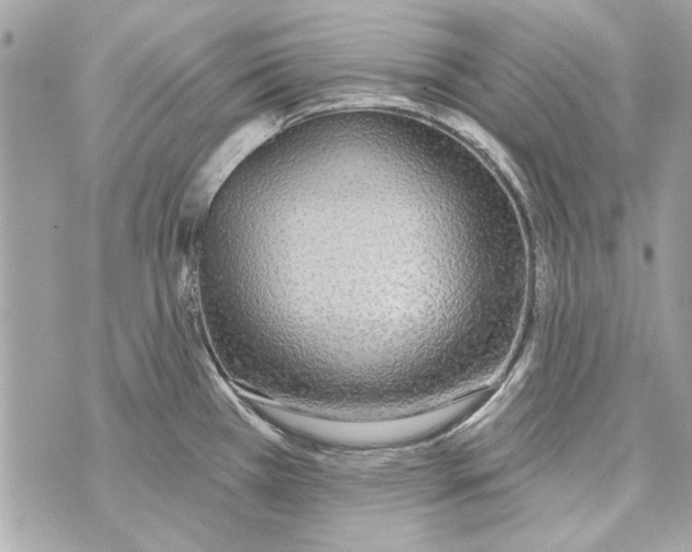 X0000070401385200607072233