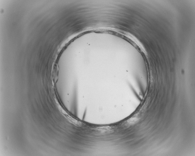 X0000070401388200607072233