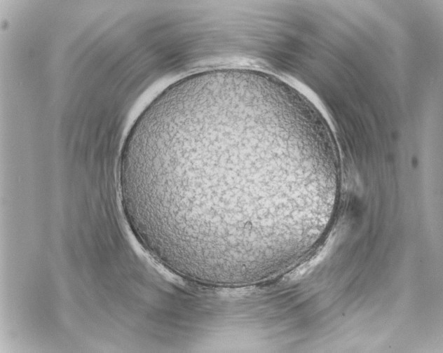 X0000070401389200607072233