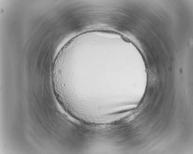 X0000070401390200607072233