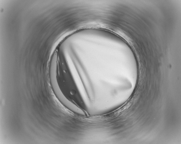 X0000070401392200607072233